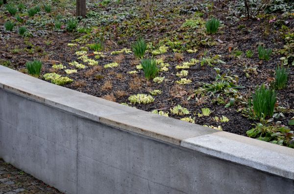 Concrete Wall Construction in Marysville