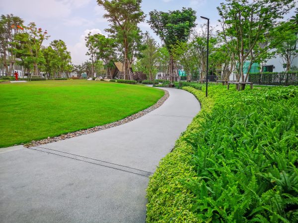 Cement Walkway Service in Marysville